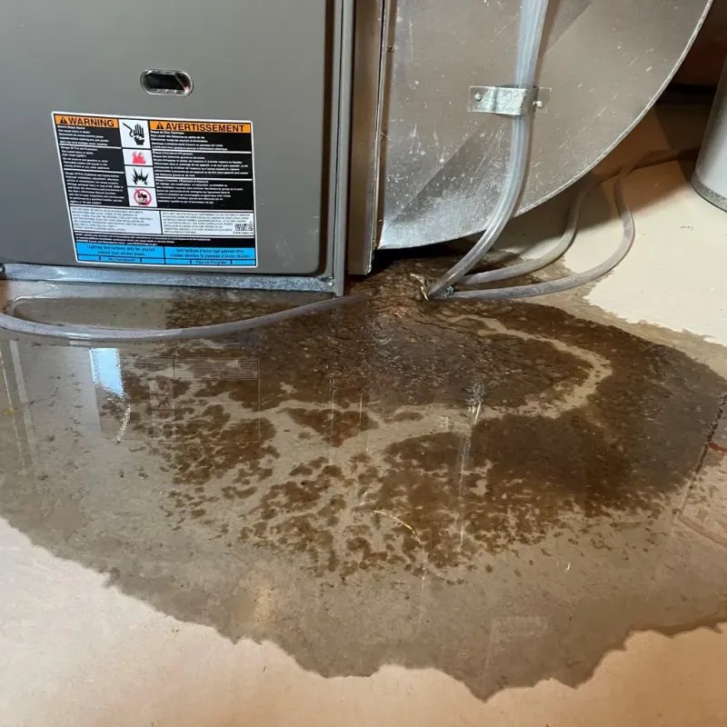 Appliance Leak Cleanup in Kauai County, HI